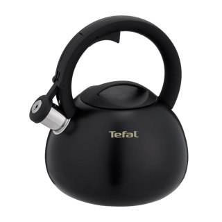Czajnik nieelektryczny TEFAL N4180410