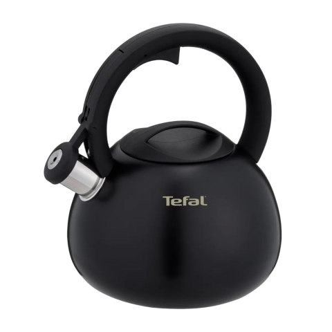 Czajnik nieelektryczny TEFAL N4180410