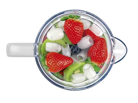 Blender smoothie SM3391 CONCEPT